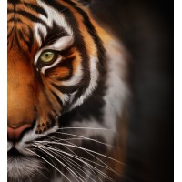 Tiger Correctional Services