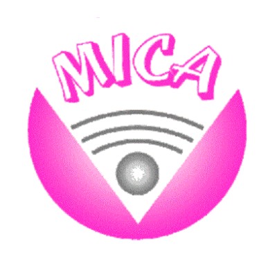 International Research Institute MICA