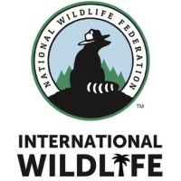 NWF International