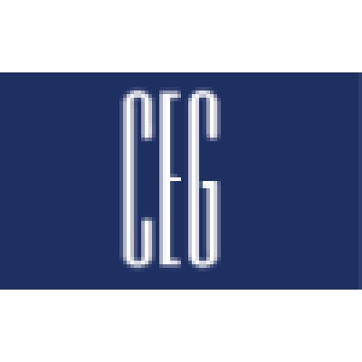 The Consulting Engineers Group An Illinois Corporation