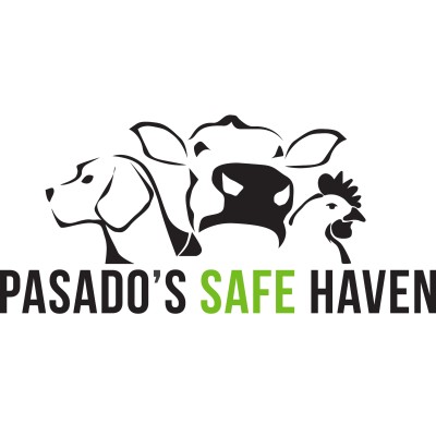 Pasado's Safe Haven
