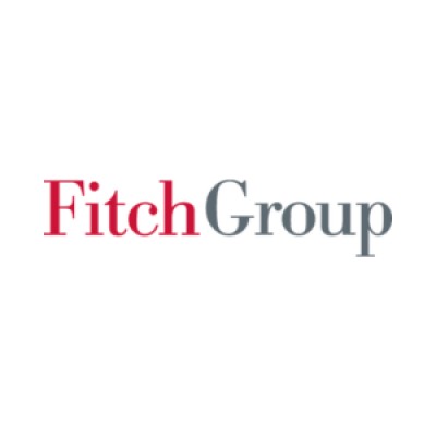 Fitch Group, Inc.