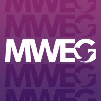 Mormon Women for Ethical Government
