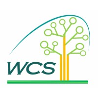 Wood Consulting Services